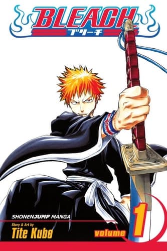 Movie poster for Bleach, Volume 01