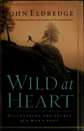 Movie poster for Wild at Heart: Discovering the Secret of a Man's Soul