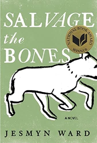 Movie poster for Salvage the Bones