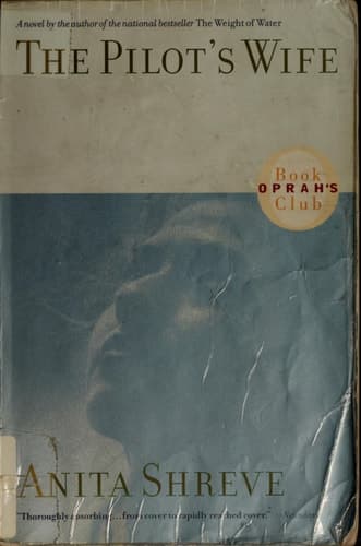 Movie poster for The Pilot's Wife