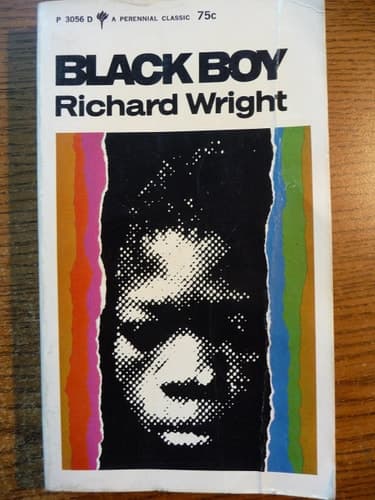 Movie poster for Black Boy