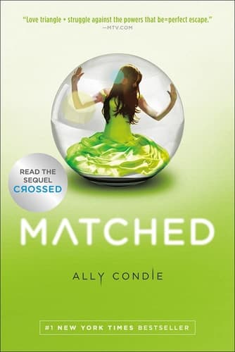 Movie poster for Matched