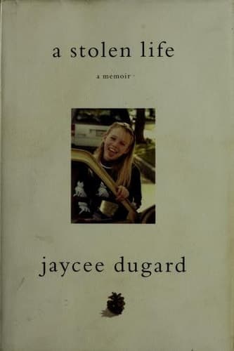 Movie poster for A Stolen Life