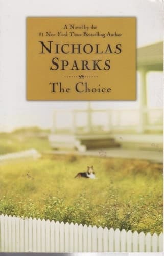 Movie poster for The Choice